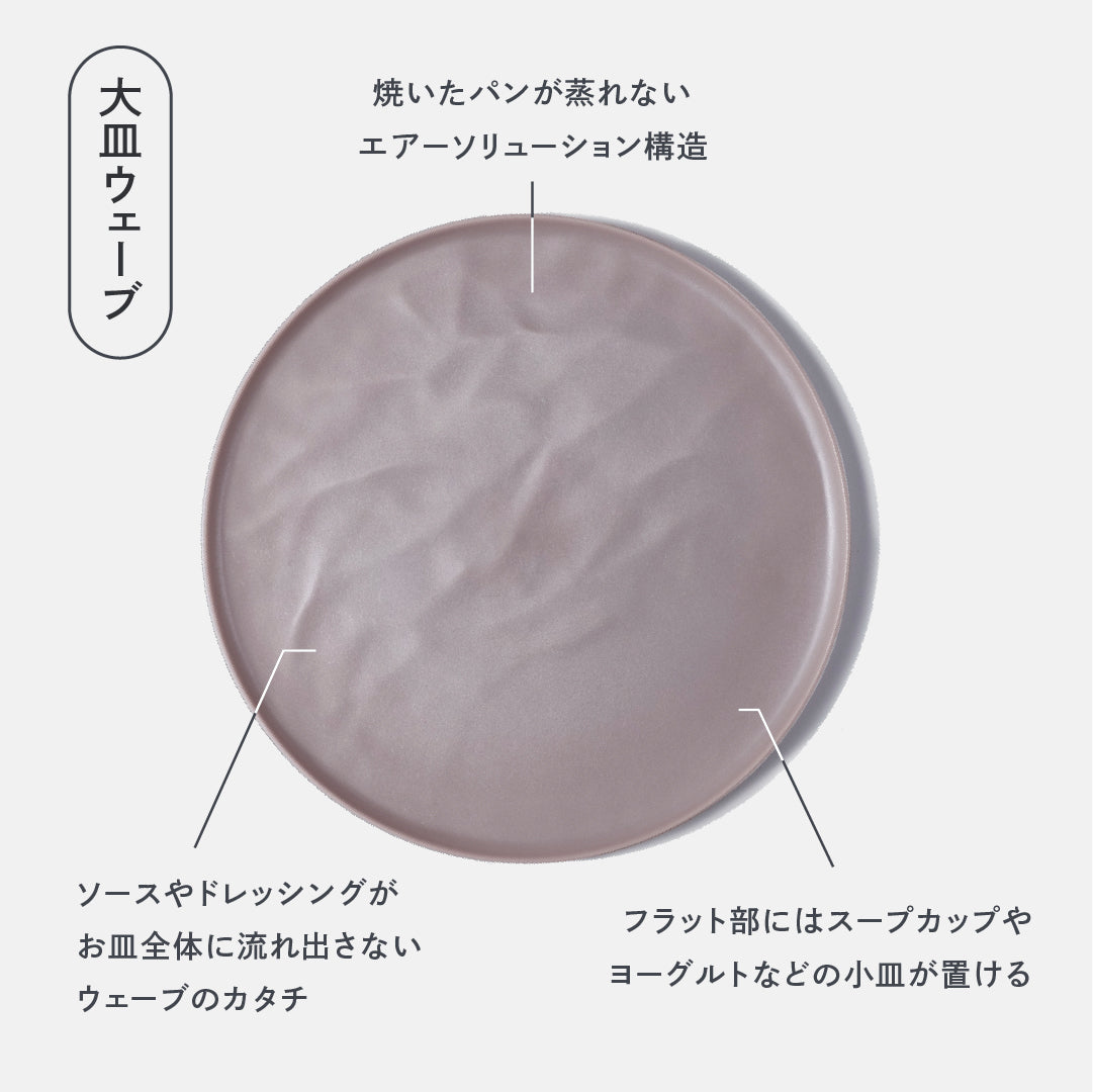 Large Wave Plate (27 cm)